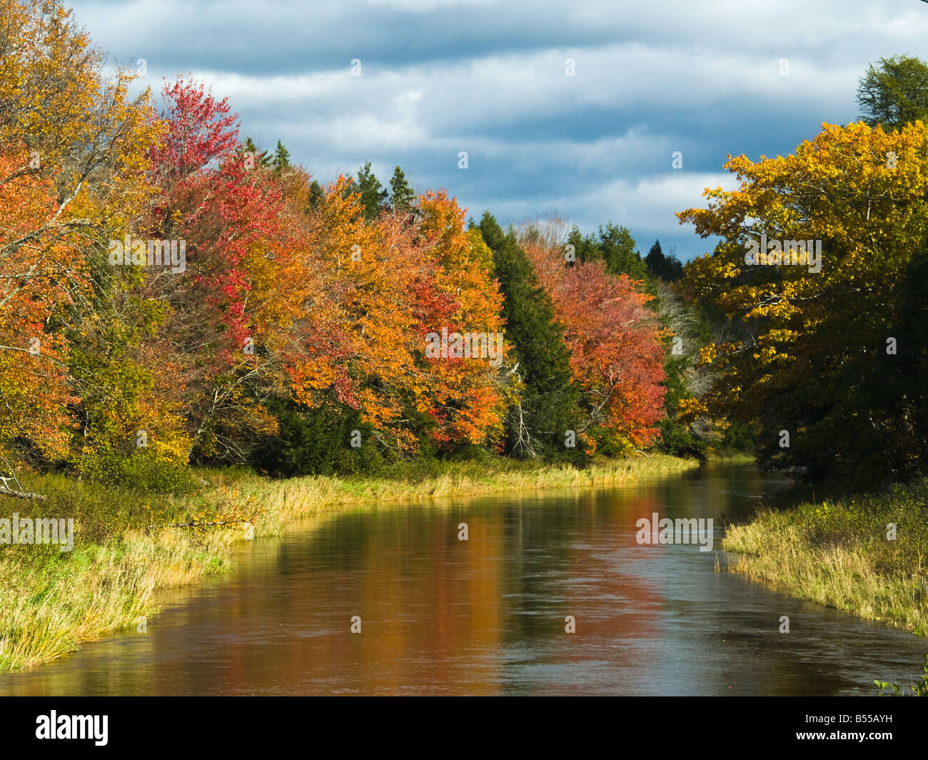 Musquodobois, près de Wyse Road - Rural Municipalité régionale de Halifax, Nouvelle-Écosse, Canada Banque D'Images