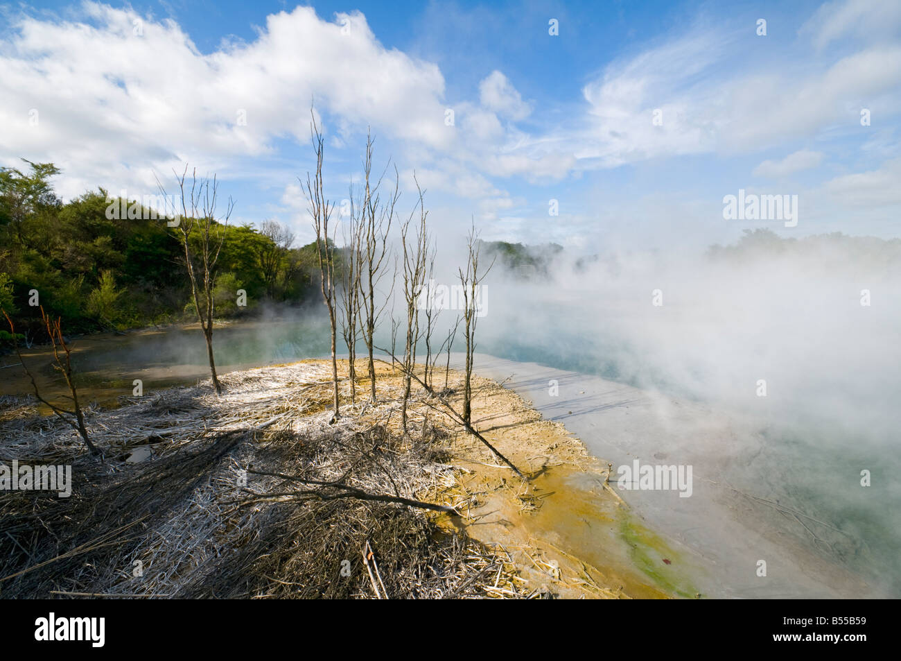 Sources géothermiques dans la région de Kuirau Park, Rotorua, île du Nord, Nouvelle-Zélande Banque D'Images