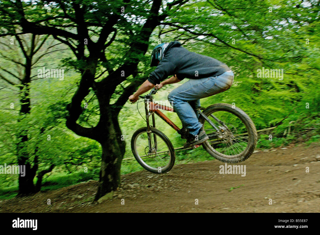 Vélo de montagne Vélo de montagne Cwmcarn Caerphilly trail Mid Glamorgan South Wales Banque D'Images