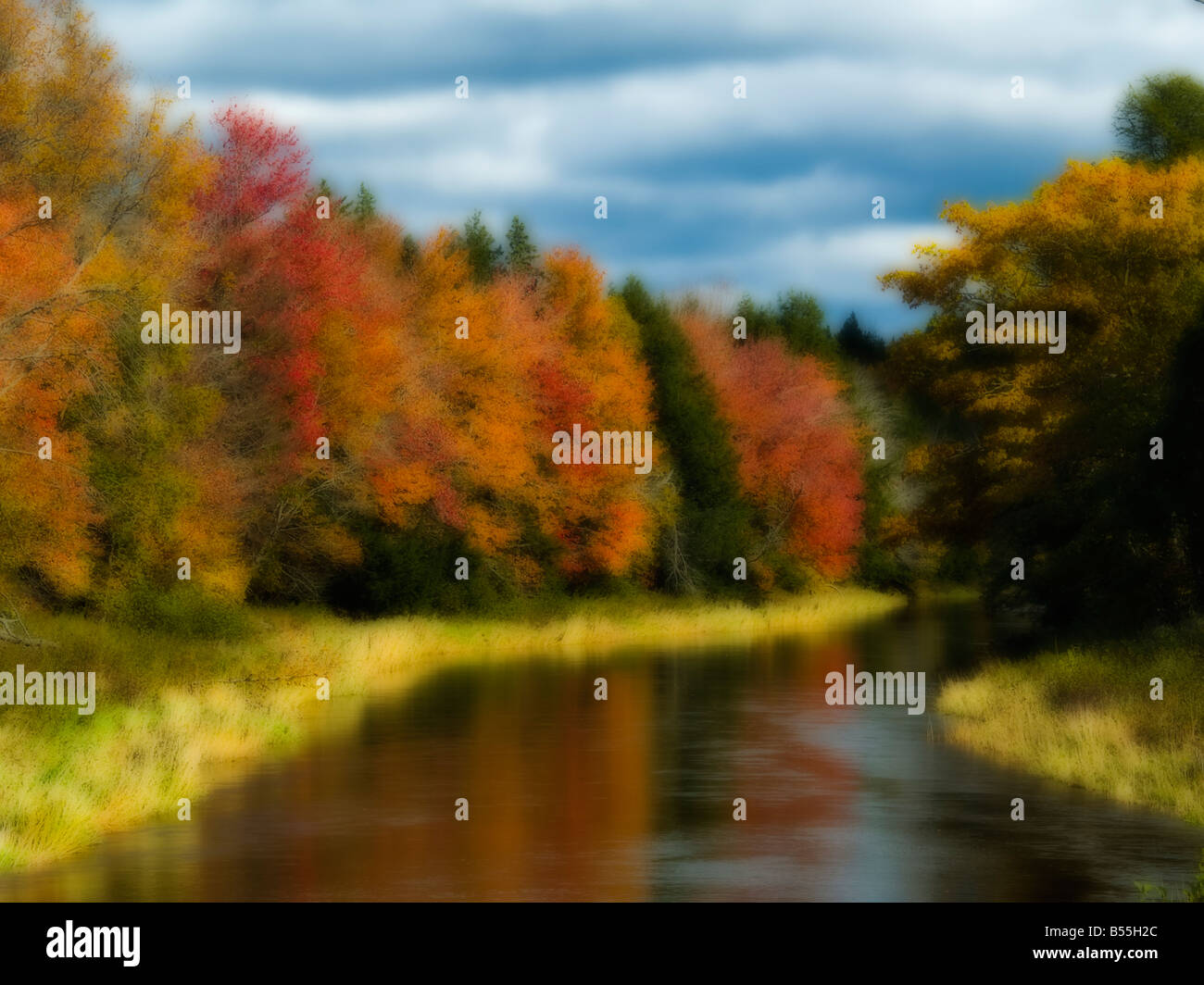 Musquodobois, près de Wyse Road - Rural Municipalité régionale de Halifax, Nouvelle-Écosse, Canada Banque D'Images