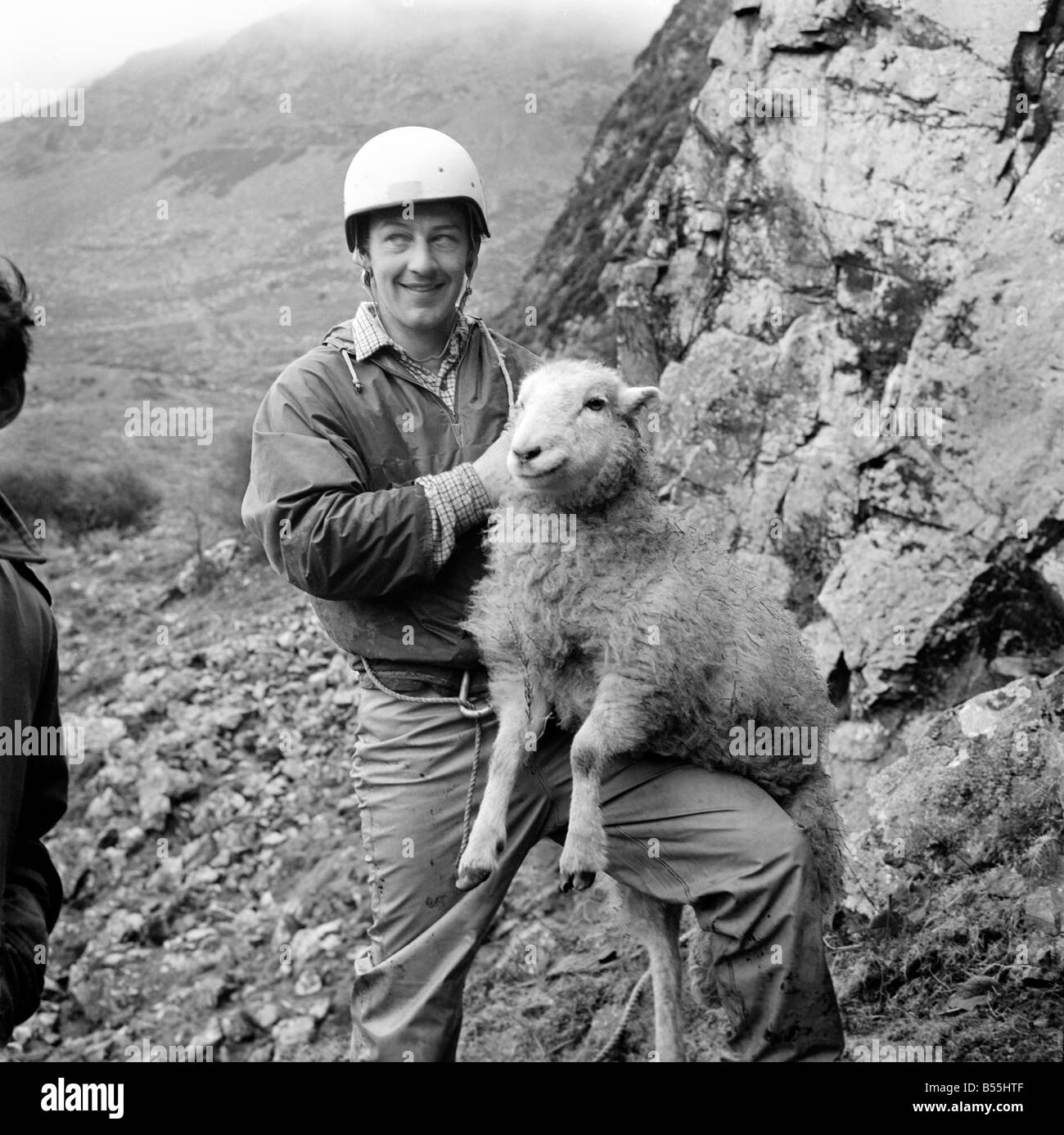 Sauvetage des moutons à Trevor, Caernarvonshire. John Ellis Roberts avec l'un des moutons qui est resté prisonnier d'une montagne. 1969 déc. Banque D'Images