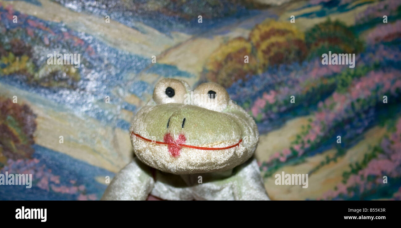 Mme Smiley Frog Goes West Banque D'Images