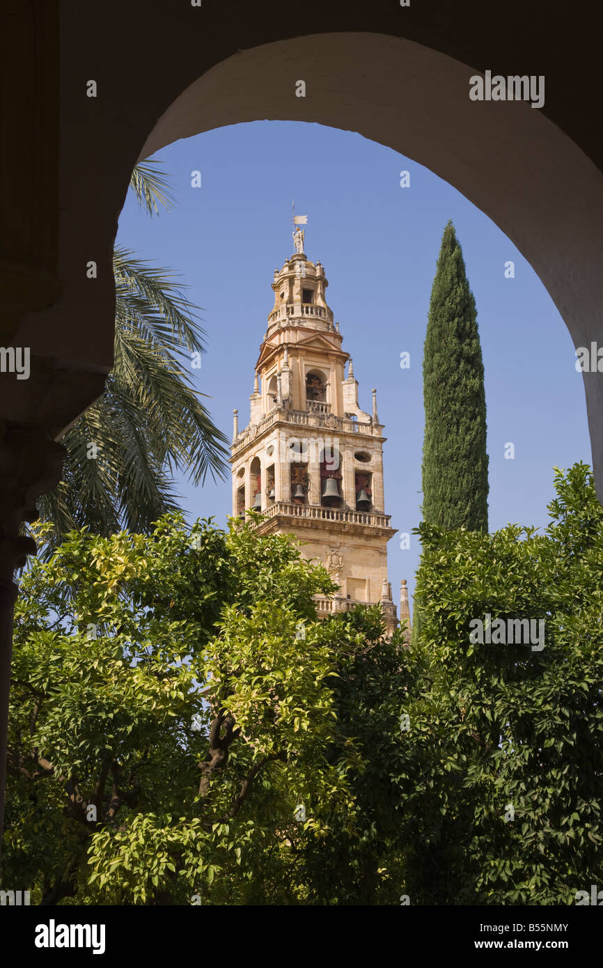 Cordoba Cordoba Province Espagne Torre del Alminar de la Grande Mosquée vue de la Plaza de los Naranjos Banque D'Images