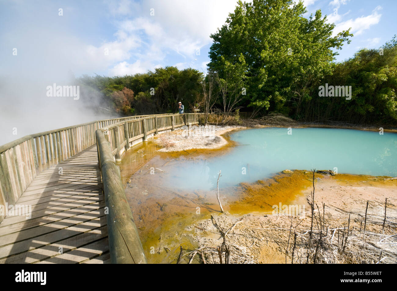 Sources géothermiques dans la région de Kuirau Park, Rotorua, île du Nord, Nouvelle-Zélande Banque D'Images