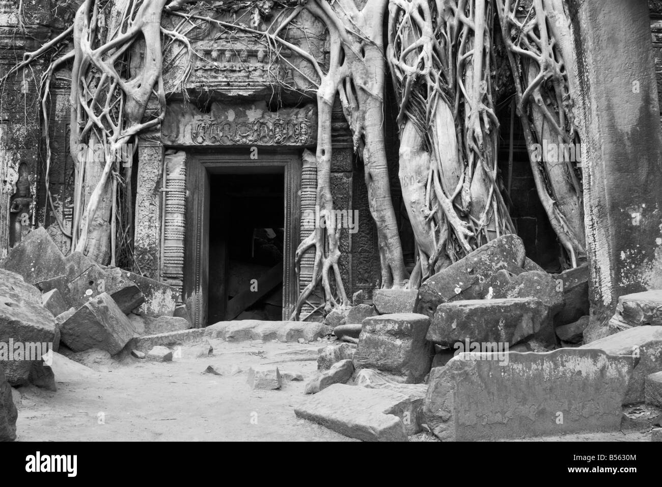Ta Prohm Temple, Angkor Wat, au Cambodge Banque D'Images