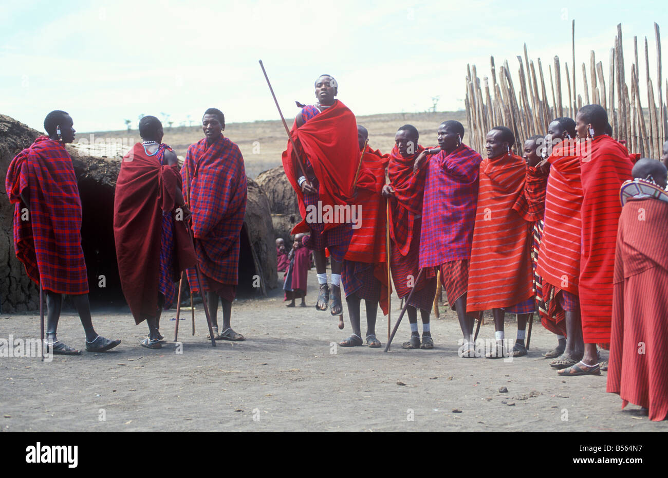 Guerriers Masai traditionnelles faisant sauter dans leur village à la Ngorongoro Conservation Area, Tanzania, Africa Banque D'Images