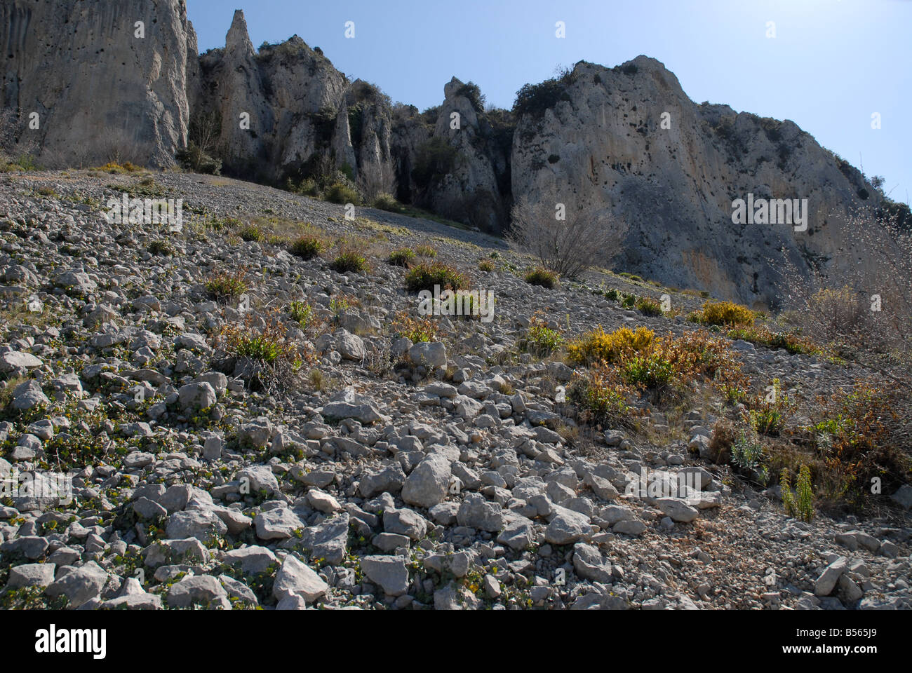 Pierrier près de Vila de Muro rock pinacles, Sierra de Serrella, Comtat, Province d'Alicante, Communauté Valencienne, Espagne Banque D'Images