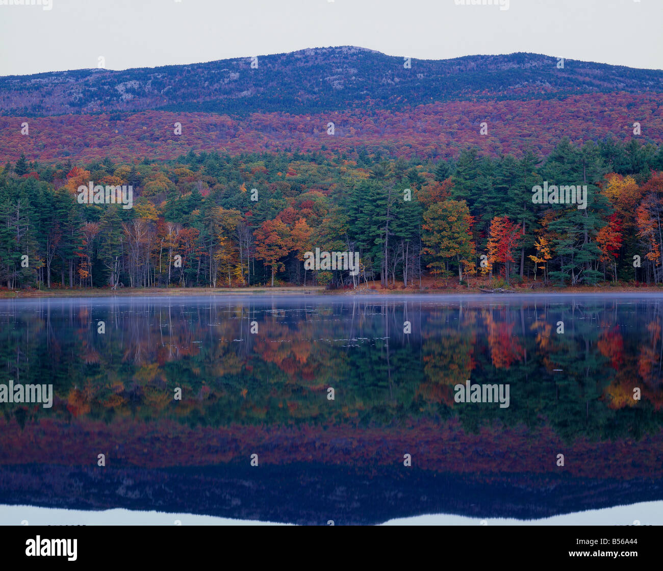 Couleurs d'automne du mont Monadnock reflétant dans Gilsom en étang Jaffrey, New Hampshire. Banque D'Images