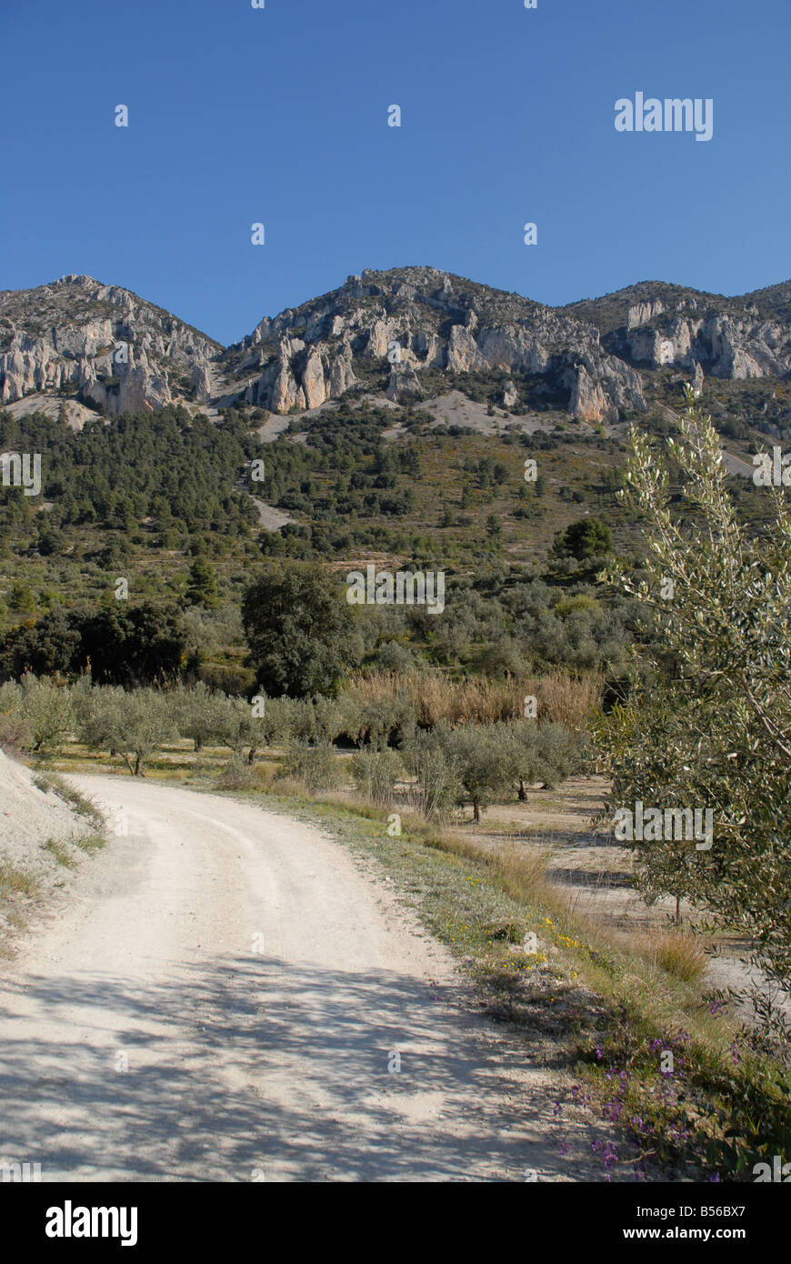 La voie à Vila de Muro rock pinacles, Sierra de Serrella, Comtat, Province d'Alicante, Communauté Valencienne, Espagne Banque D'Images