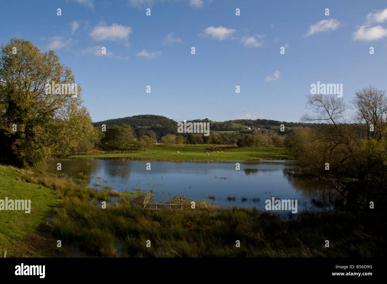 Les zones humides dans la vallée de Conwy près de Wrexham, Wales Banque D'Images