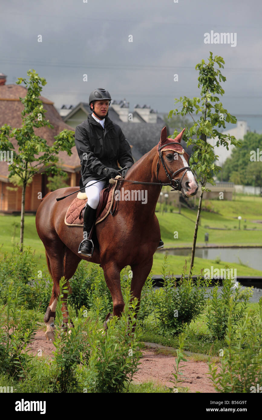 Cavalier mâle Banque D'Images