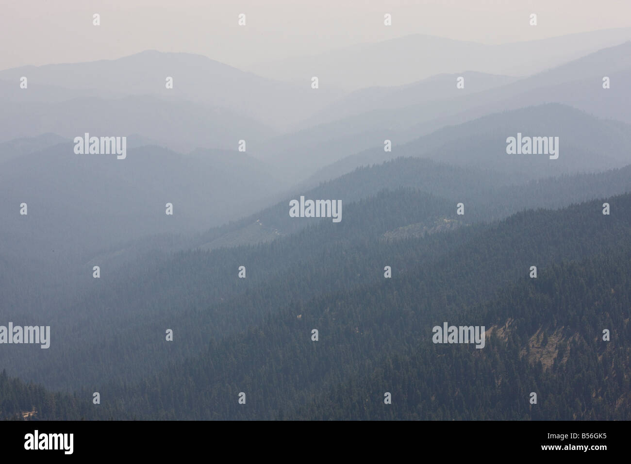 Montagnes Siskiyou au sud de la Californie du nord de l'Oregon après vastes feux de forêts Juillet 2008 Vue de Mt Ashland Oregon Banque D'Images