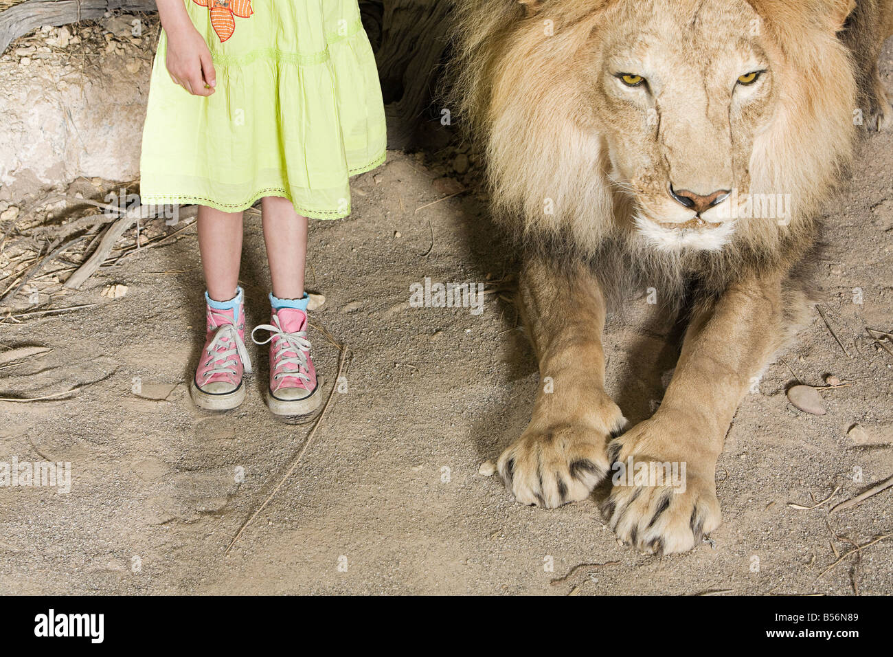 Jeune fille debout à côté d'un lion en peluche Banque D'Images