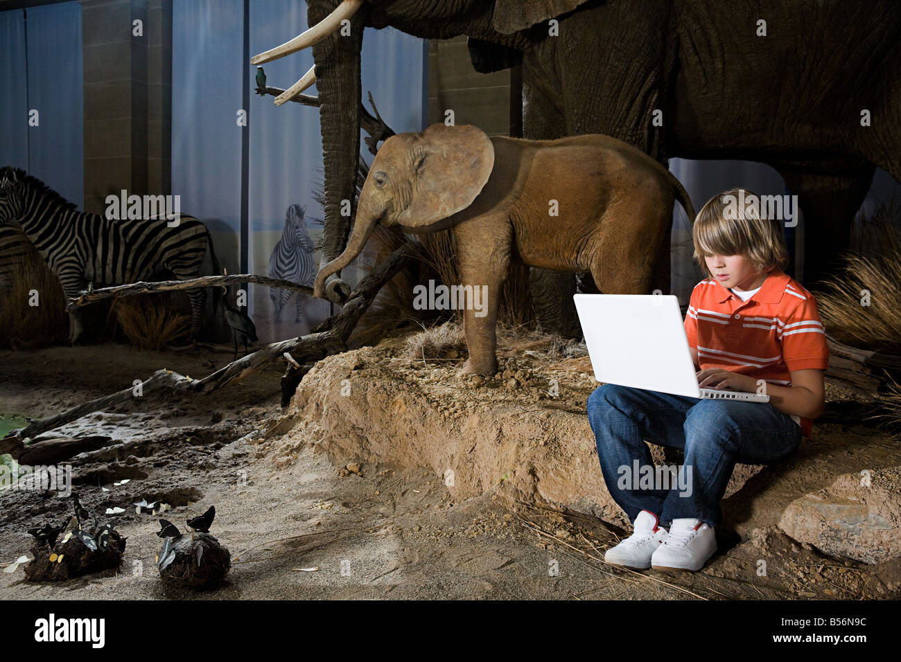 Garçon en utilisant un ordinateur portable dans un musée Banque D'Images