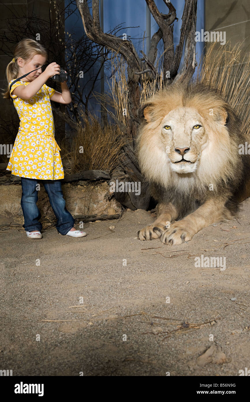 Photographier un lion en peluche fille Banque D'Images
