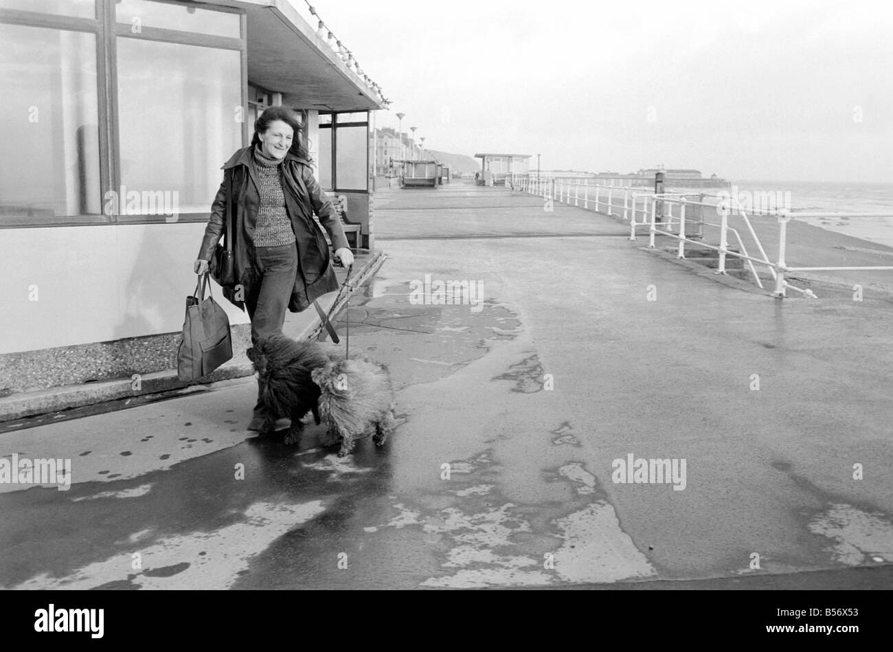 Chiens expulsés. Mme Fay Hughes. Janvier 1975 75-00437-013 Banque D'Images