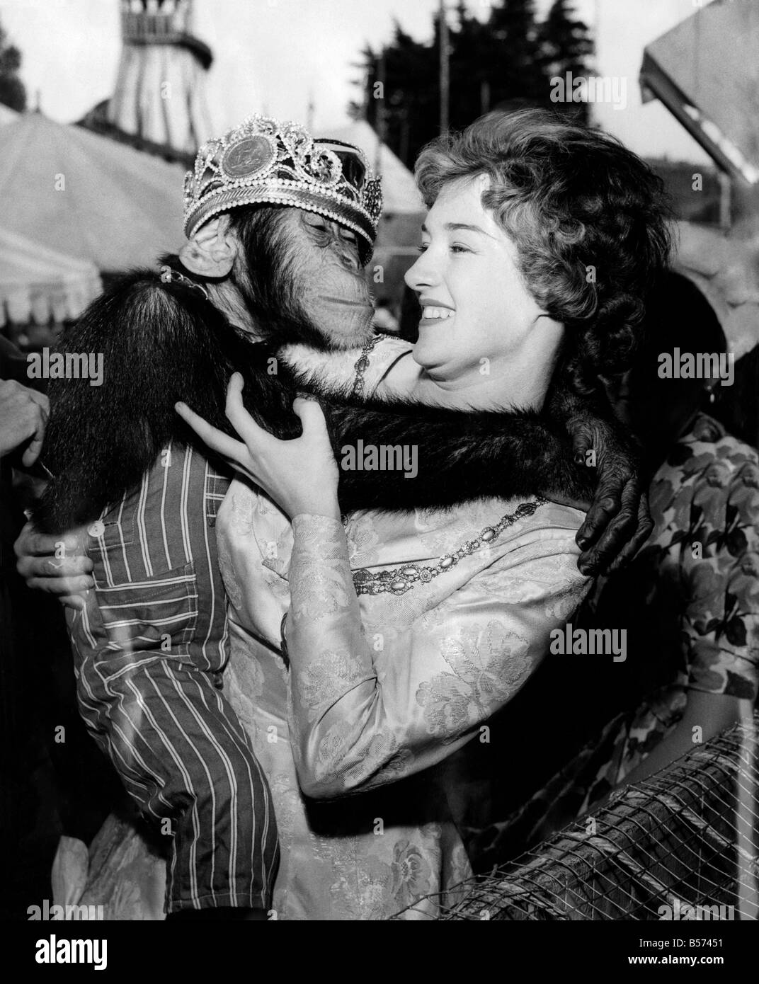 Singes animaux bonobos : 20 ans Wendy saleslady Goff, la reine du Carnaval de Southend, avec ses dames d'honneur, fait un tour Banque D'Images