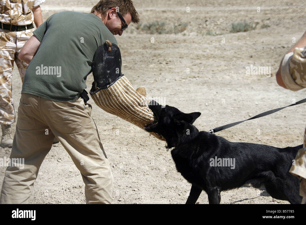Pride Of Britain Awards Ewan McGregor avec la section Théâtre chiens de travail à Bassorah Irak Banque D'Images