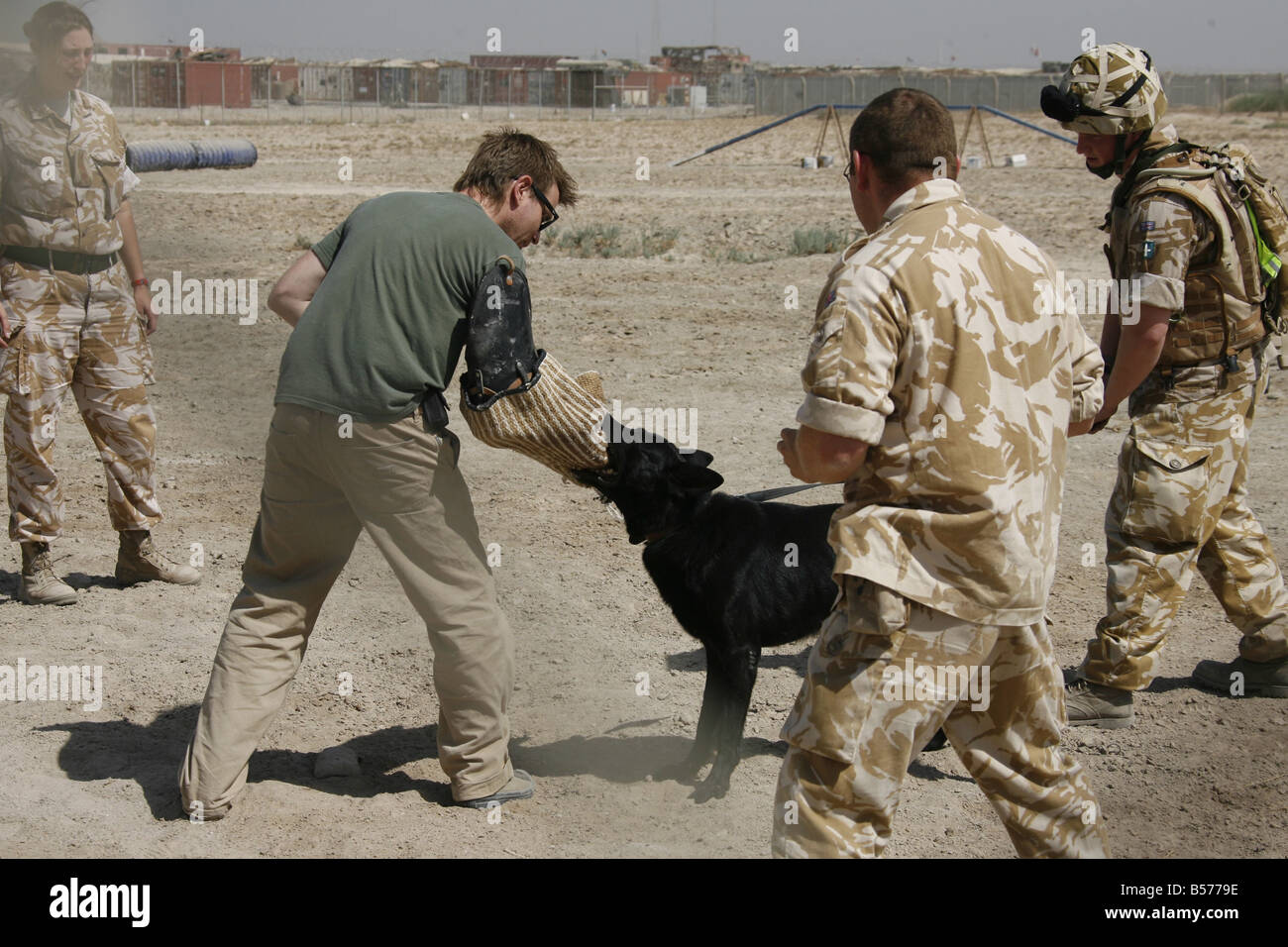 Pride Of Britain Awards Ewan McGregor avec la section Théâtre chiens de travail à Bassorah Irak Banque D'Images