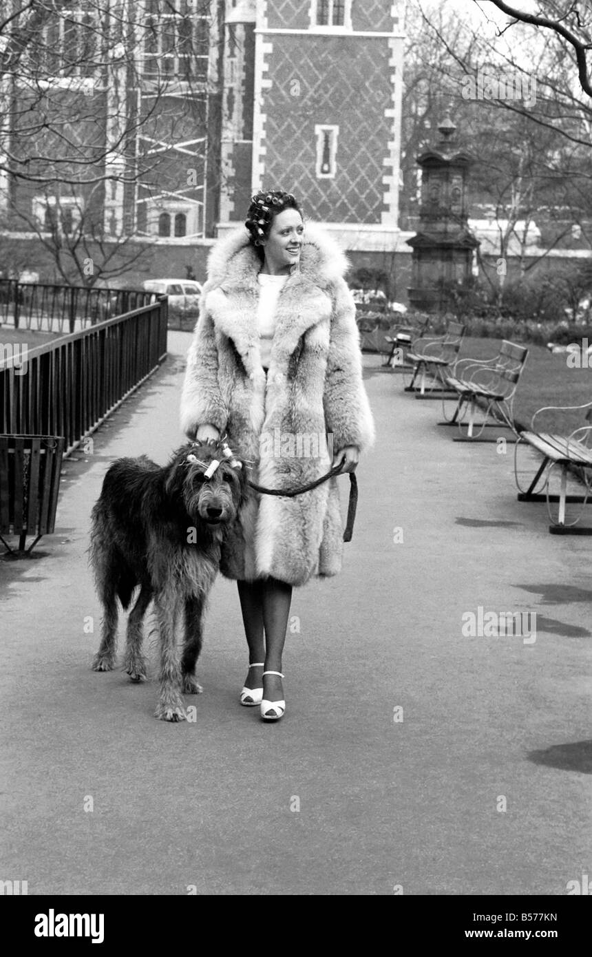 Girl and Dog in Curlers. Burgyne et Victoria modèle Loup irlandais 'Hound' Jasper. Février 1975 75-00884-003 Banque D'Images