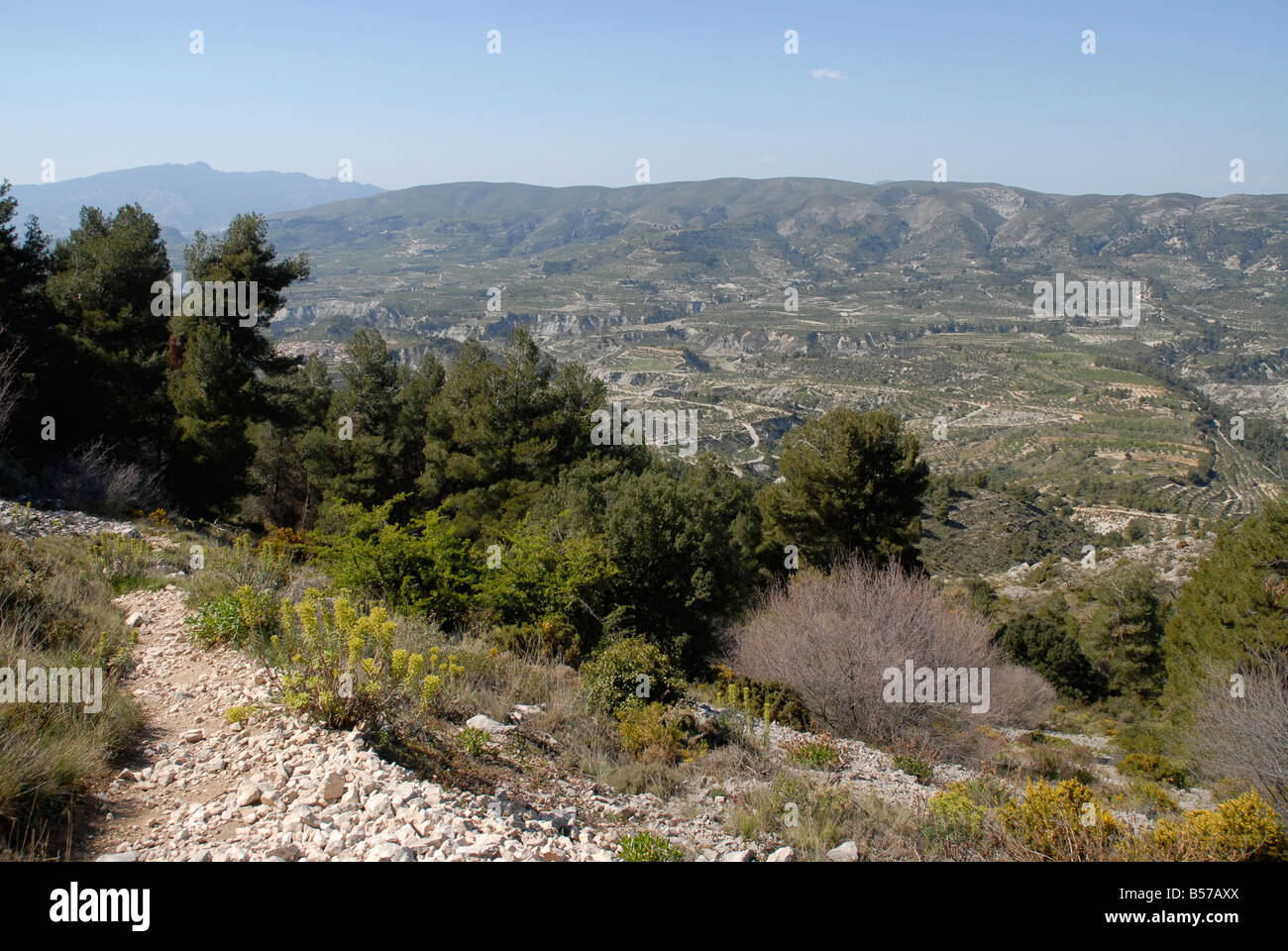 Chemin d'accès à Vila de Muro rock pinacles, Sierra de Serrella, Comtat, Province d'Alicante, Communauté Valencienne, Espagne Banque D'Images