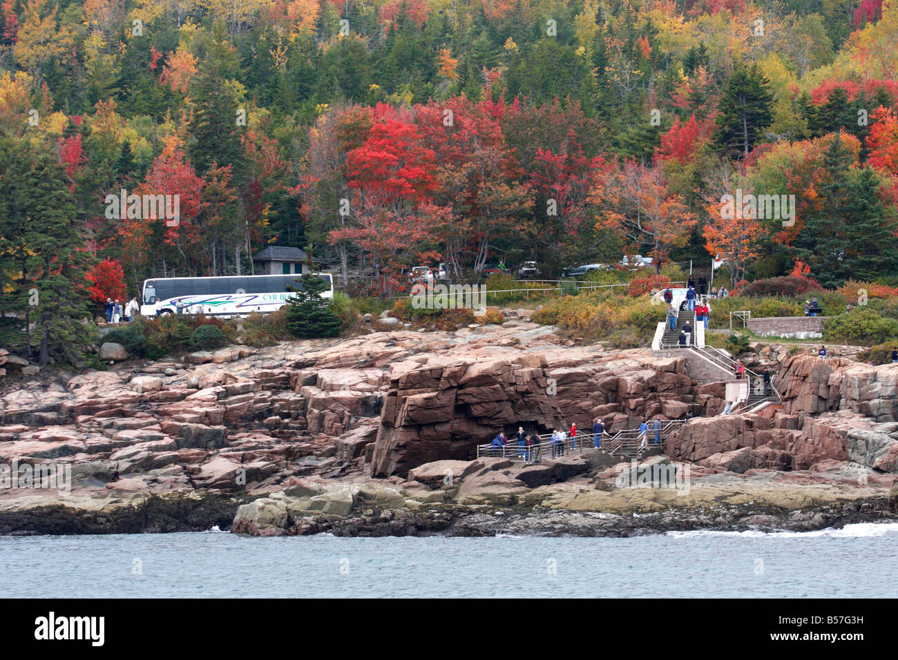 Autocar de touristes s'arrêtant à Thunder Hole dans l'Acadia National Park dans le Maine, USA Banque D'Images