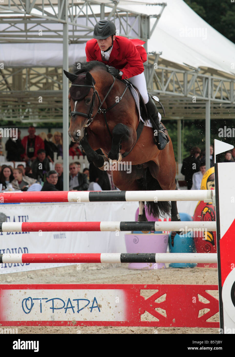 Rider saut sur dos d'un cheval allemand Banque D'Images