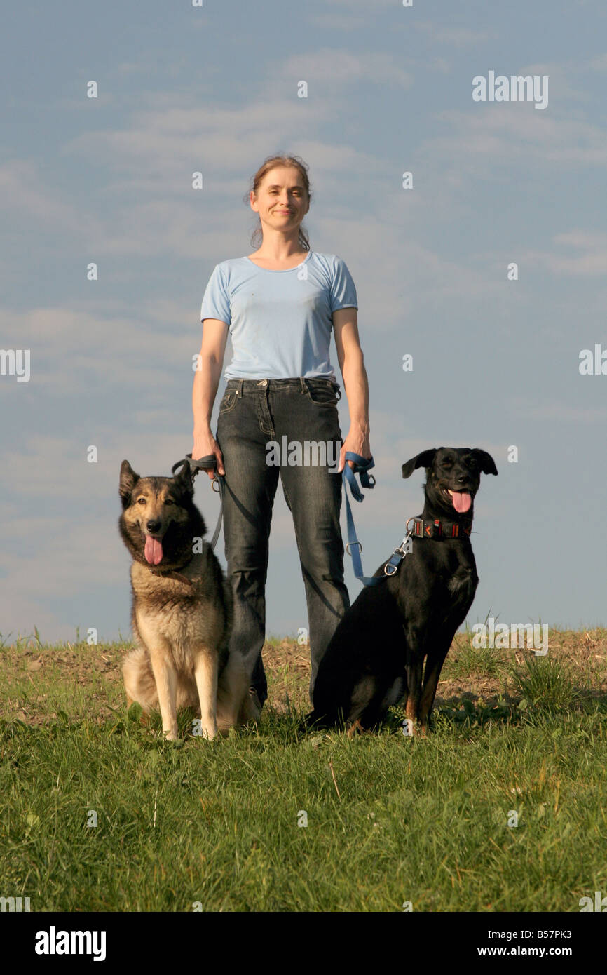 Dogwalker Ulrike Czepluch la marche avec deux gros chiens (Canis lupus familiaris) Banque D'Images