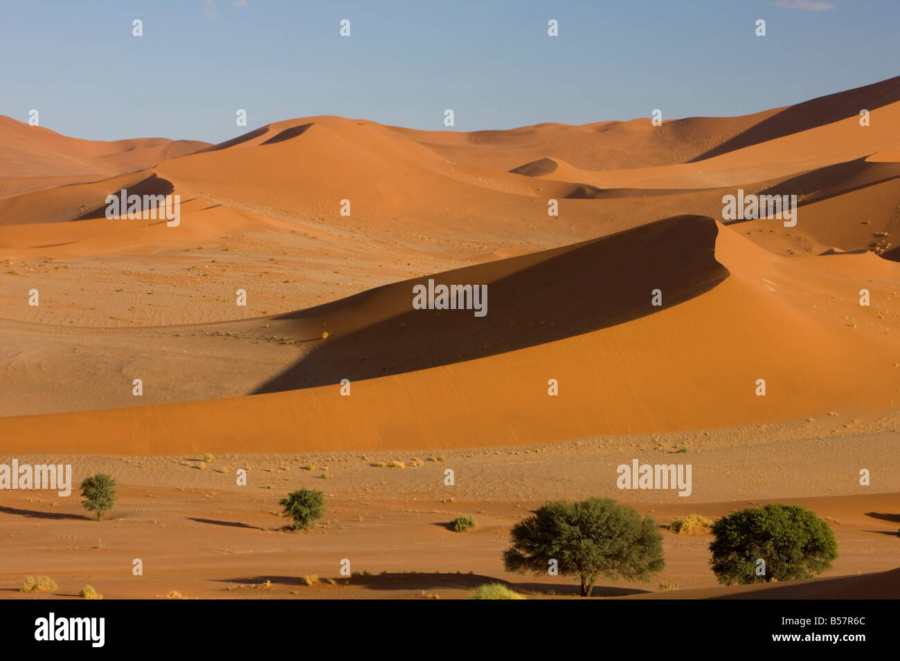 Dunes de sable, Sossusvlei, Namib Naukluft Park, Désert du Namib, Namibie, Afrique Banque D'Images