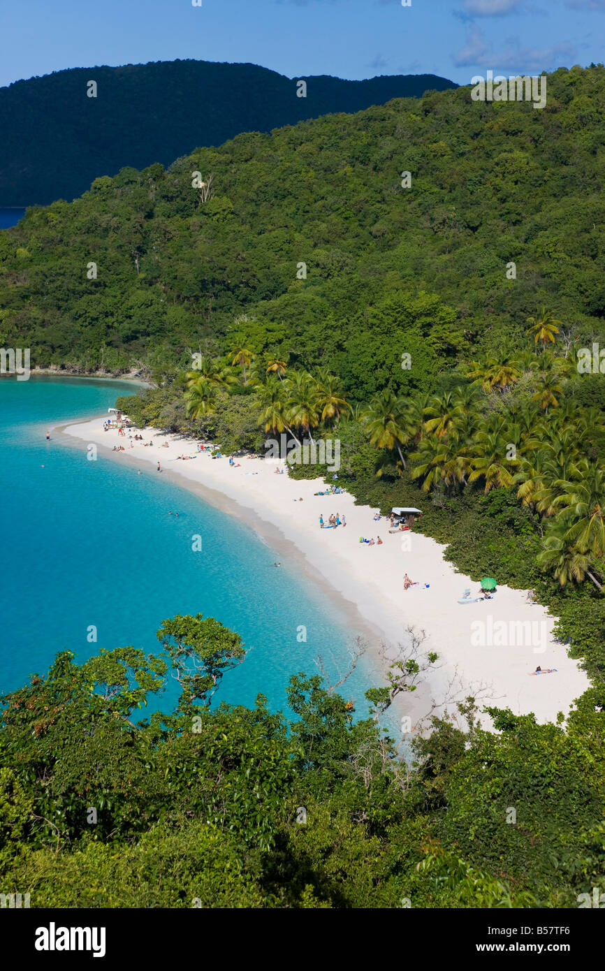 View dans le monde célèbre plage de Trunk Bay, Saint John, îles Vierges américaines, Antilles, Caraïbes, Amérique Centrale Banque D'Images