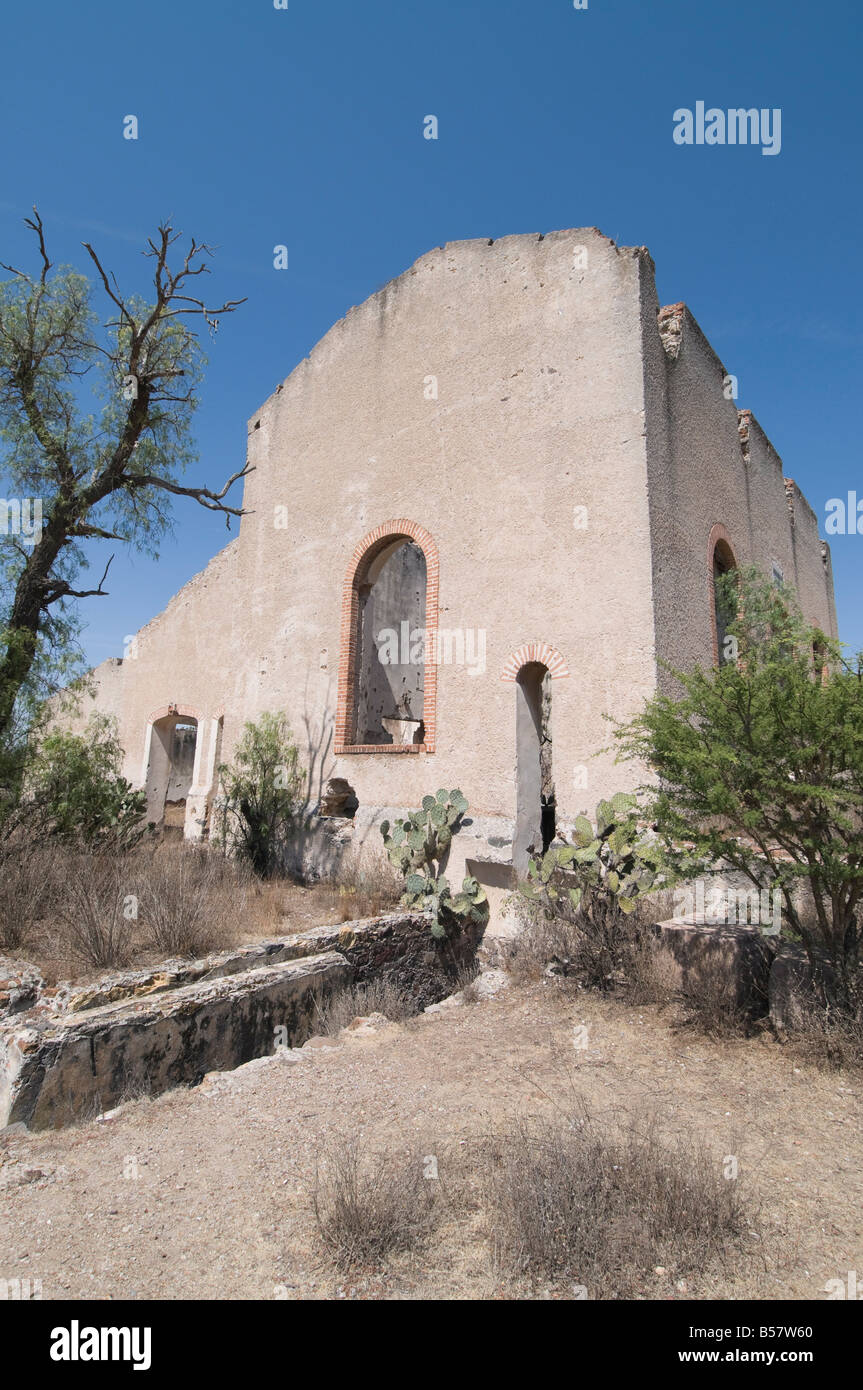 Ancienne mine de mercure et de cuivre avec l'arbre en premier plan, minéral de pozos (Pozos), État de Guanajuato, Mexique Banque D'Images