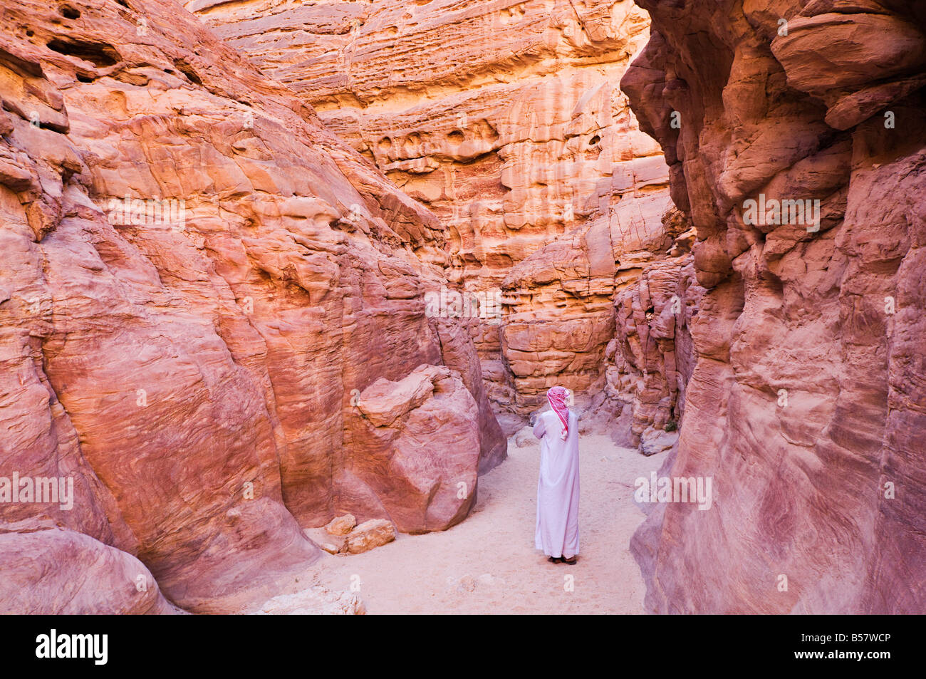Dans l'homme bédouin Canyon Coloré, près de Marsa Alam, Egypte, Afrique du Nord, Afrique Banque D'Images