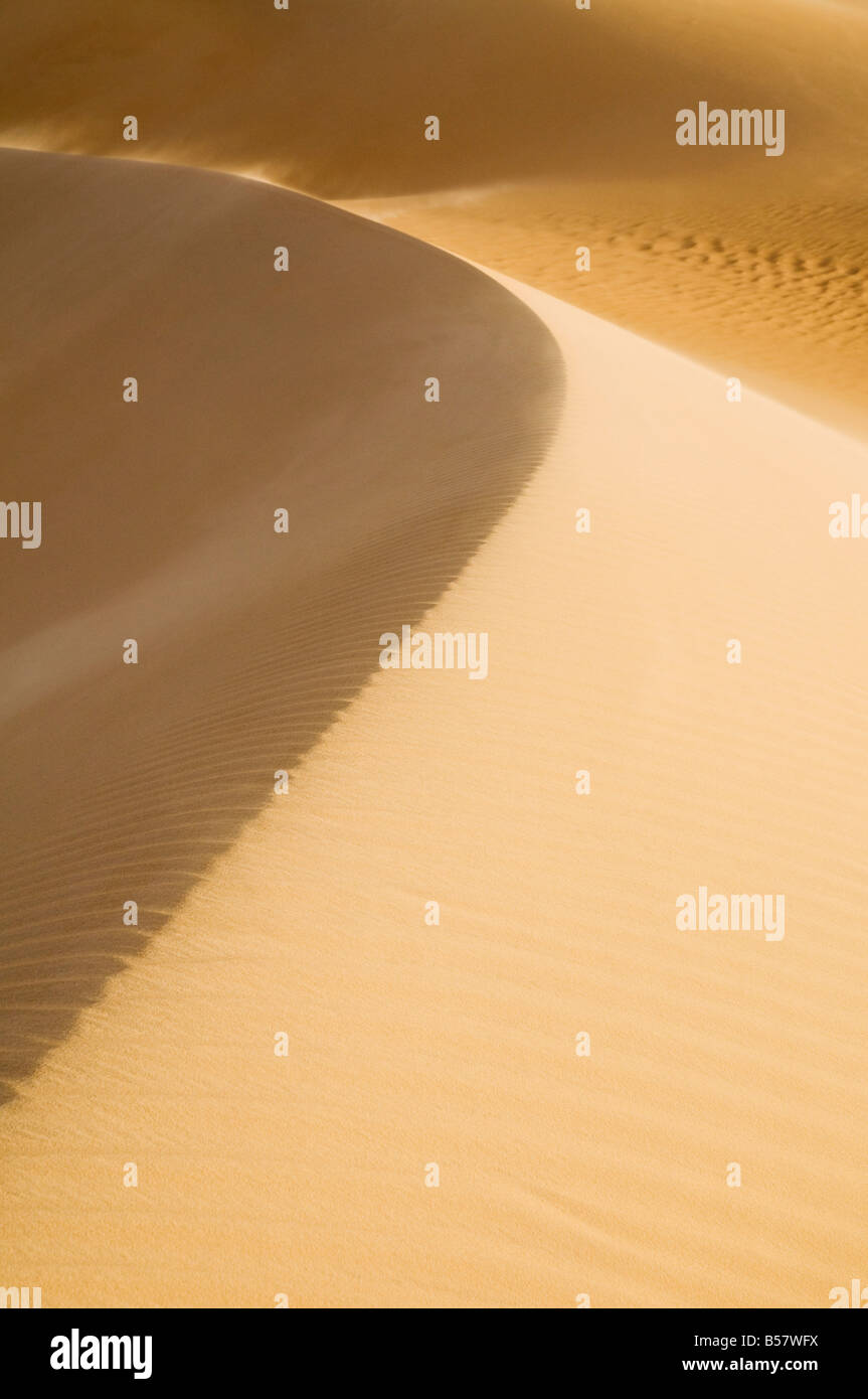 Dune de sable, la Grande Mer de Sable, le désert occidental, l'Égypte, l'Afrique du Nord, Afrique Banque D'Images