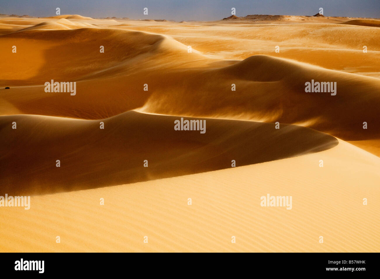 Dunes de sable, la Grande Mer de Sable, le désert occidental, l'Égypte, l'Afrique du Nord, Afrique Banque D'Images