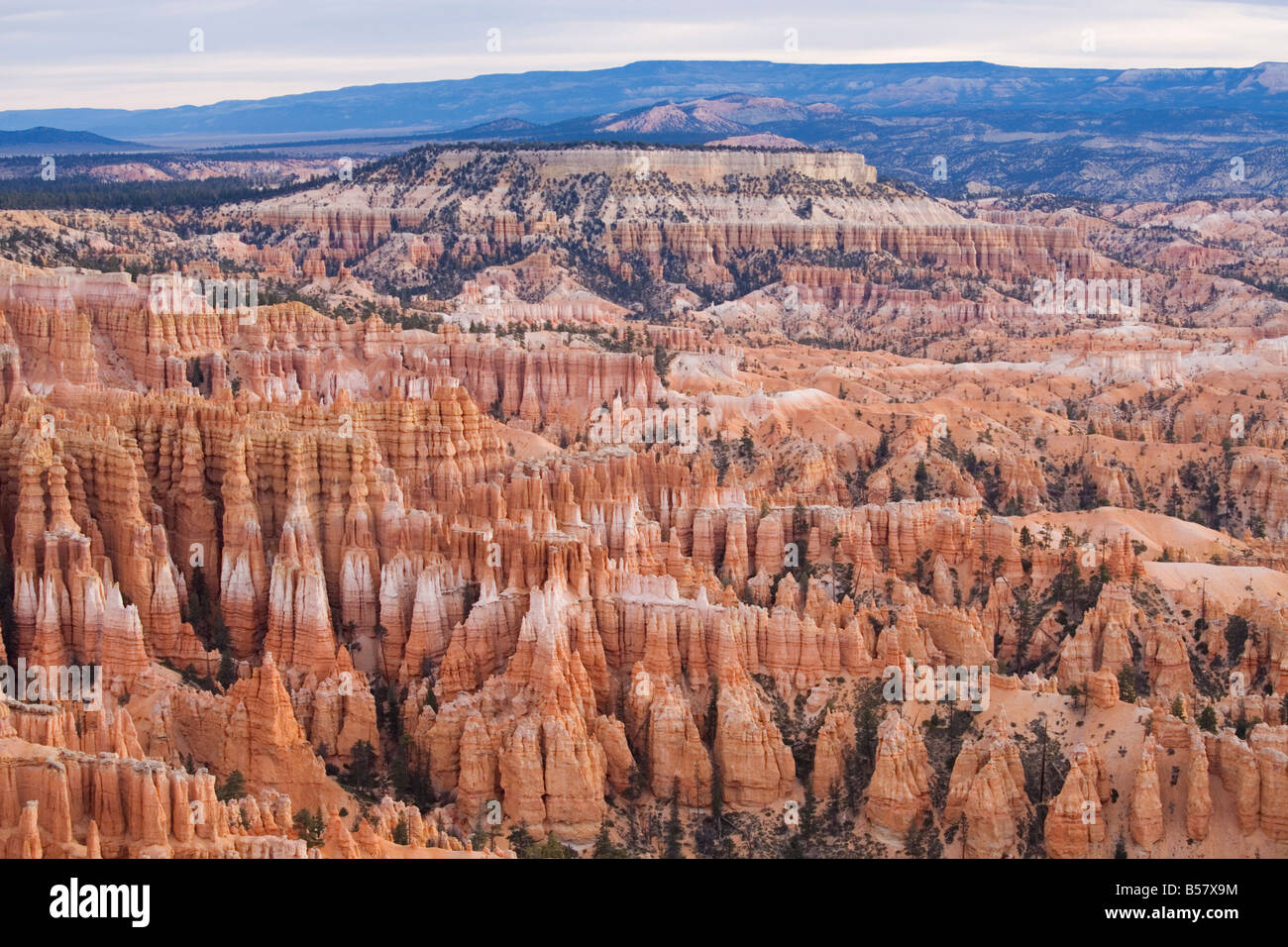 Tôt le matin, le Parc National de Bryce Canyon, Utah, États-Unis d'Amérique, Amérique du Nord Banque D'Images