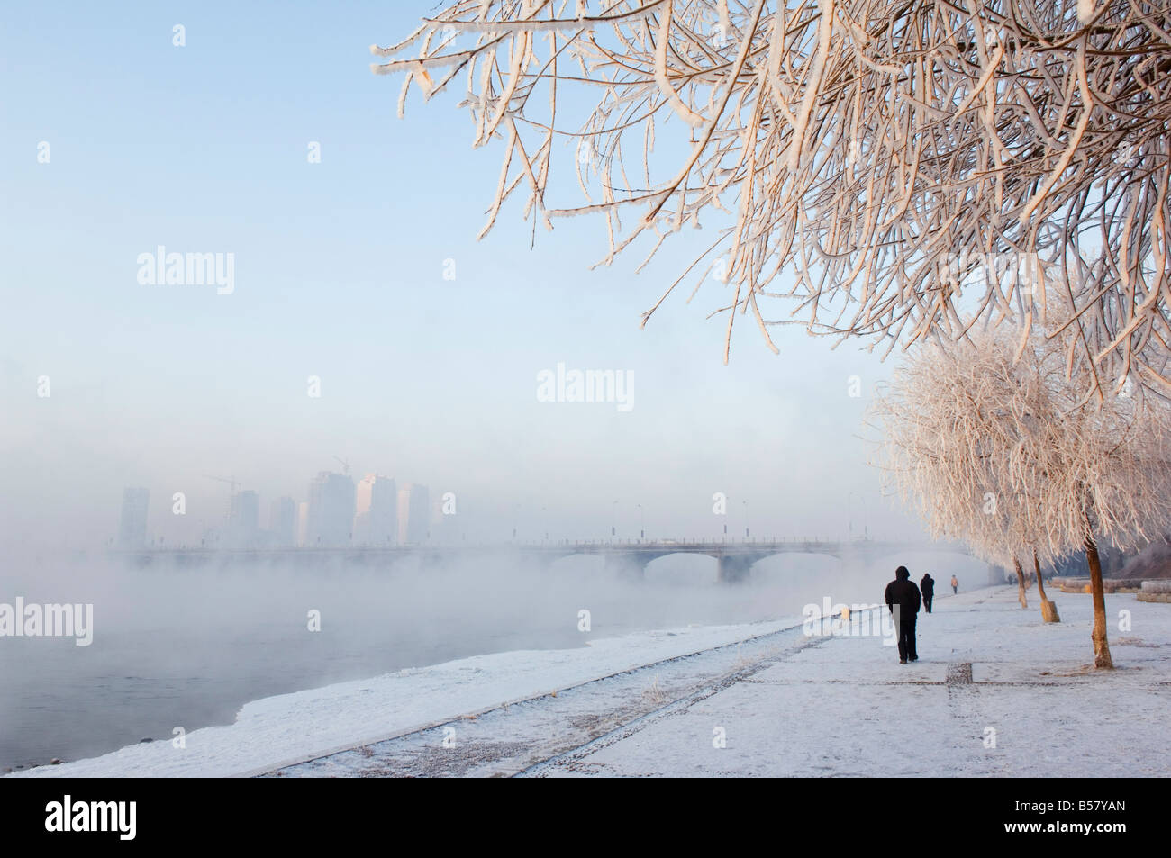 Mist rising off fleuve Songhua et arbres couverts de glace en hiver, ville de Jilin, Province de Jilin, au nord-est de la Chine, de la Chine, de l'Asie Banque D'Images