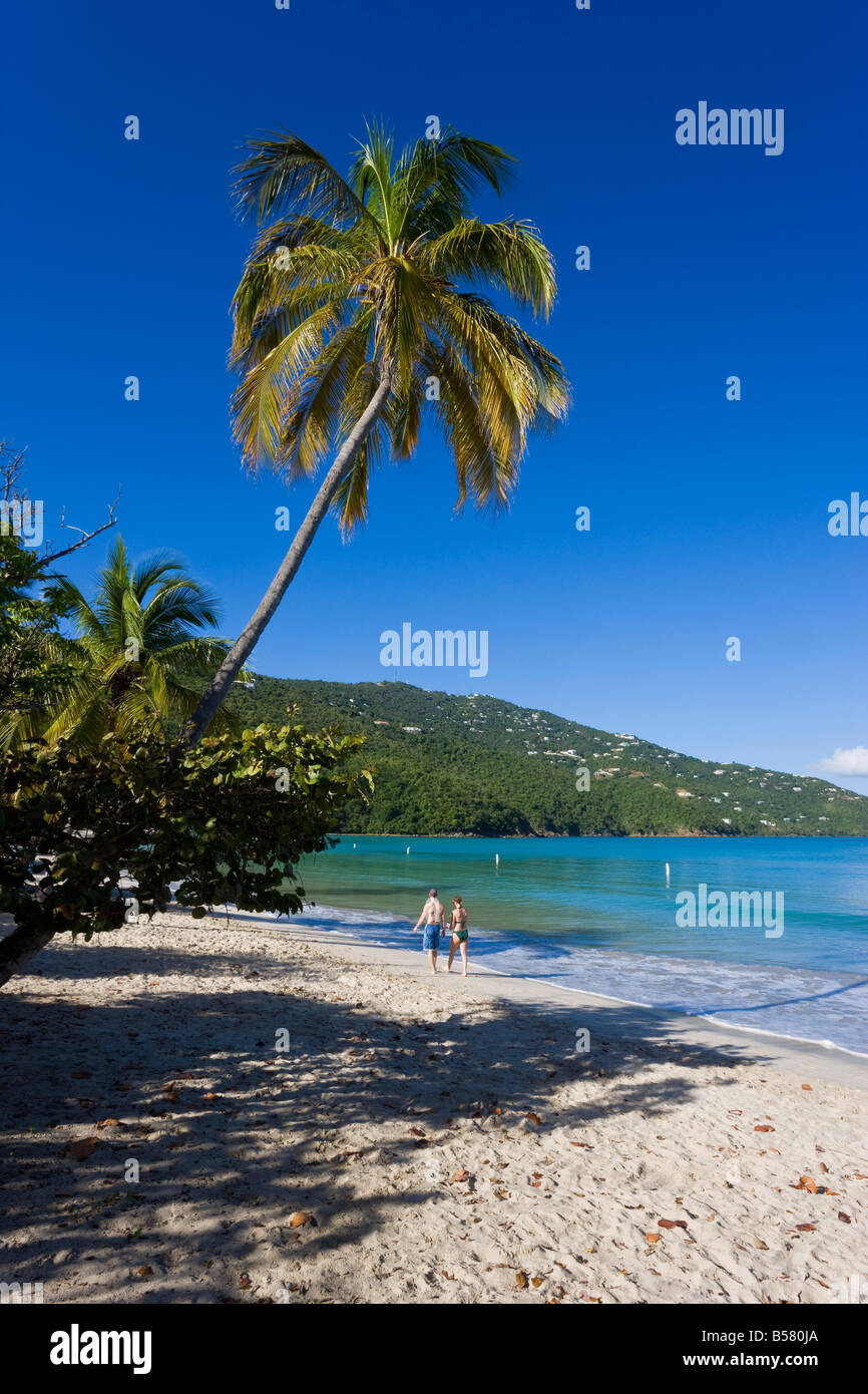Palmiers et la plage de Magens Bay, la plage la plus célèbre de St Thomas, St Thomas, îles Vierges américaines, Antilles, Caraïbes Banque D'Images