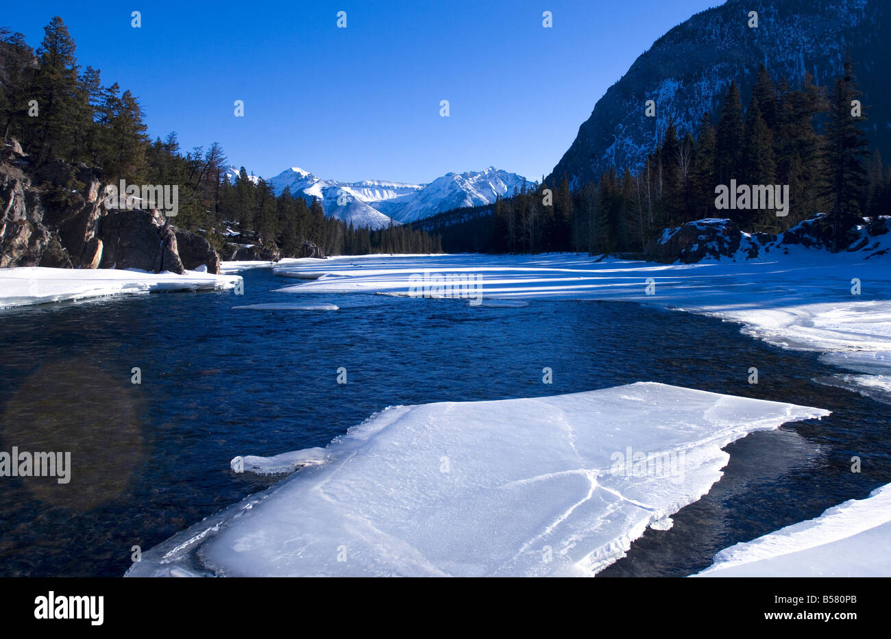 La rivière Bow congelé, Banff, Alberta, Canada, Amérique du Nord Banque D'Images