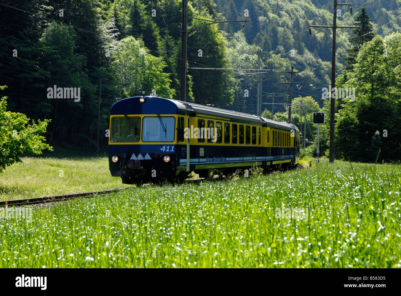 Train de montagne, Oberland Bernois, Alpes Suisses, Suisse, Europe Banque D'Images