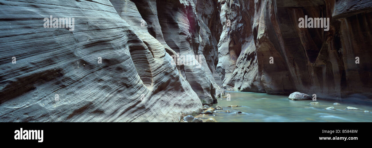 Virgin River qui coule à travers la Vierge Narrows, Zion National Park, Utah, États-Unis d'Amérique, Amérique du Nord Banque D'Images