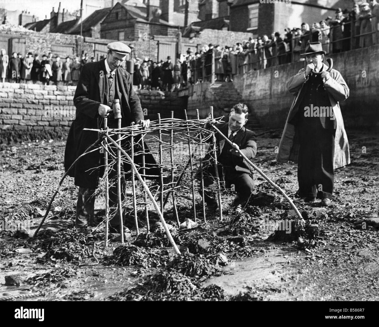 Une vieille coutume anglaise a lieu : Dans le petit village de pêcheurs de Whitby Yorks, tous les mois de mai, une ancienne cérémonie, la plantation de la haie 'penny' a lieu. L'histoire raconte que certains jeunes chevaliers, tandis qu'à la chasse près de l'abbaye, poursuivi l'ours sauvage dans la chapelle. Un moine ermite a essayé de protéger l'animal, mais les chevaliers abattus le moine ainsi que le sanglier. La pénitence a été imposée à eux et leurs héritiers Banque D'Images