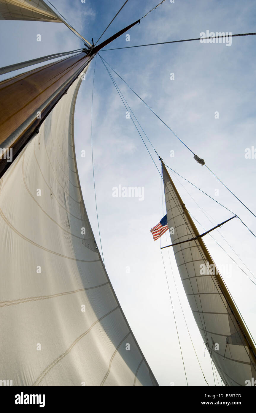 Old Vintage voile à Knapps Narrows Tilghman Island Talbot County Chesapeake Bay area Maryland United States of America Banque D'Images