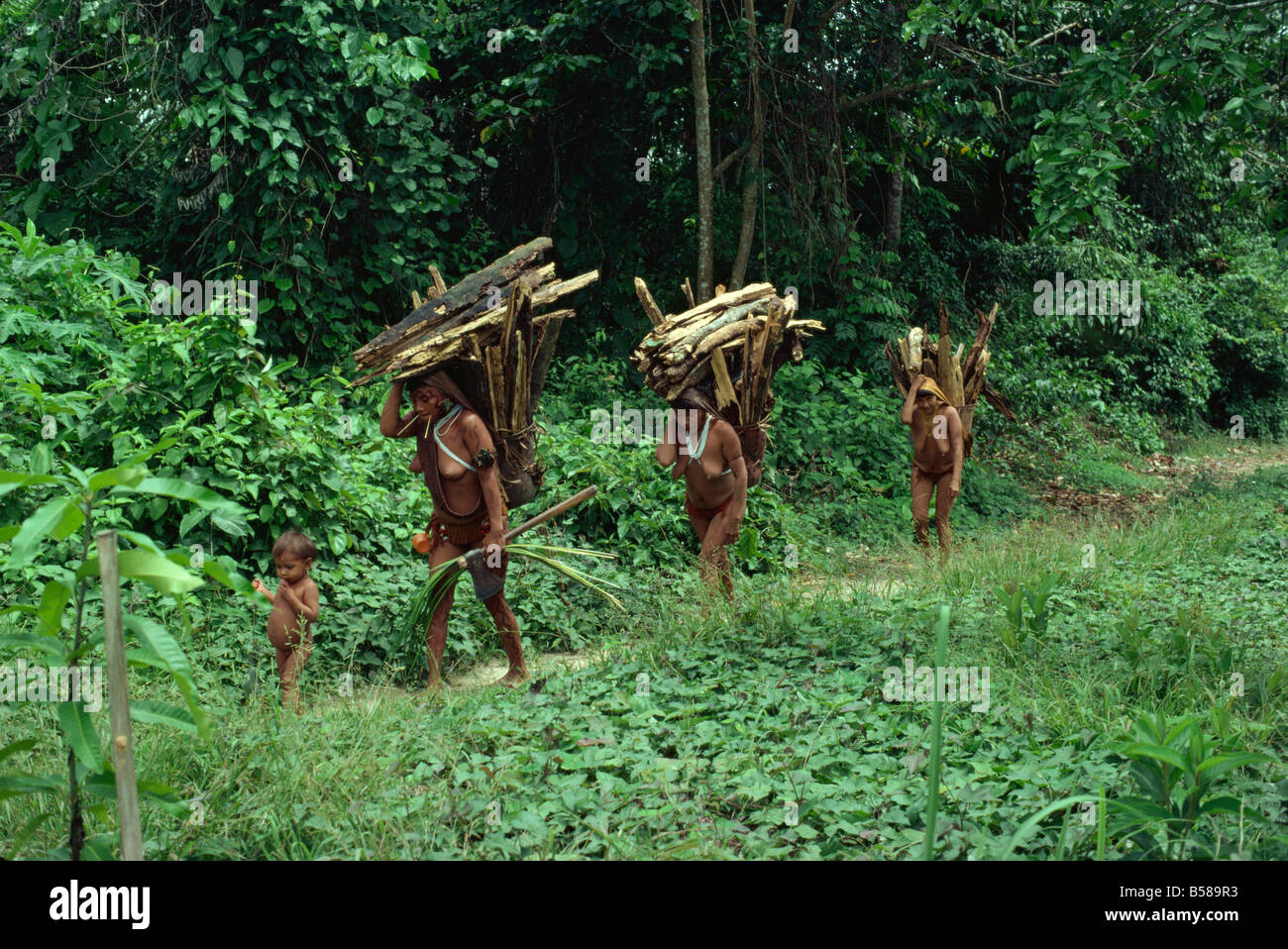 Les femmes des Indiens yanomamis la collecte du bois, au Brésil, en Amérique du Sud Banque D'Images