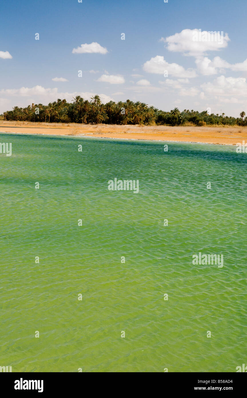 Birket Siwa Siwa (Lac), l'oasis de Siwa, désert de l'Ouest, l'Egypte, l'Afrique du Nord, Afrique Banque D'Images