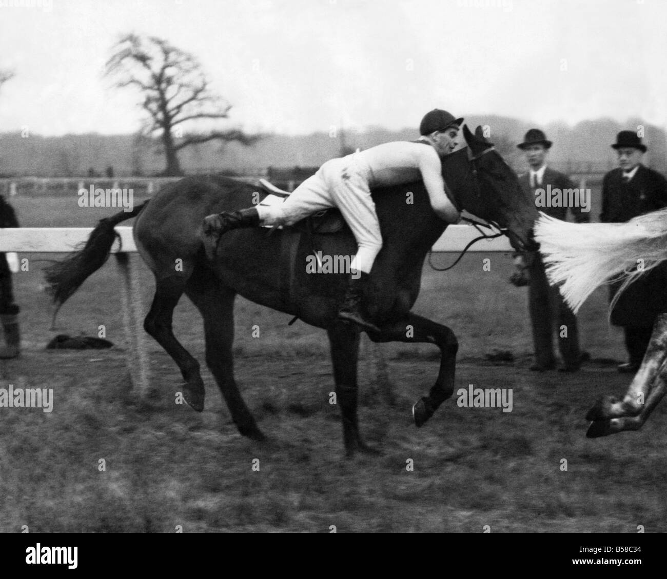 Il a obtenu un temps de la foule. Deux fois par Bruno 11, délogé de son jockey J Puissance dans le St Helens 'Chase. La première fois qu'il a codé retour sur la selle. La même chose s'est produit un gain à l'open ditch. Il s'accrocha sur dans cette position d'environ 50vges mais fini par tomber. Novembre 1949 P005974 Banque D'Images