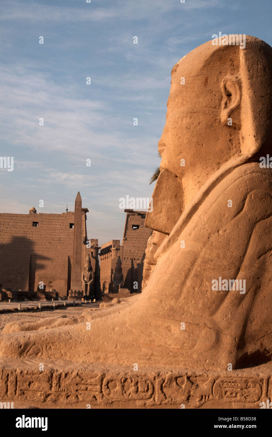 L'Avenue des sphinx menant au temple de Louxor, Louxor, Thèbes, Site du patrimoine mondial de l'UNESCO, l'Égypte, l'Afrique du Nord, Afrique Banque D'Images