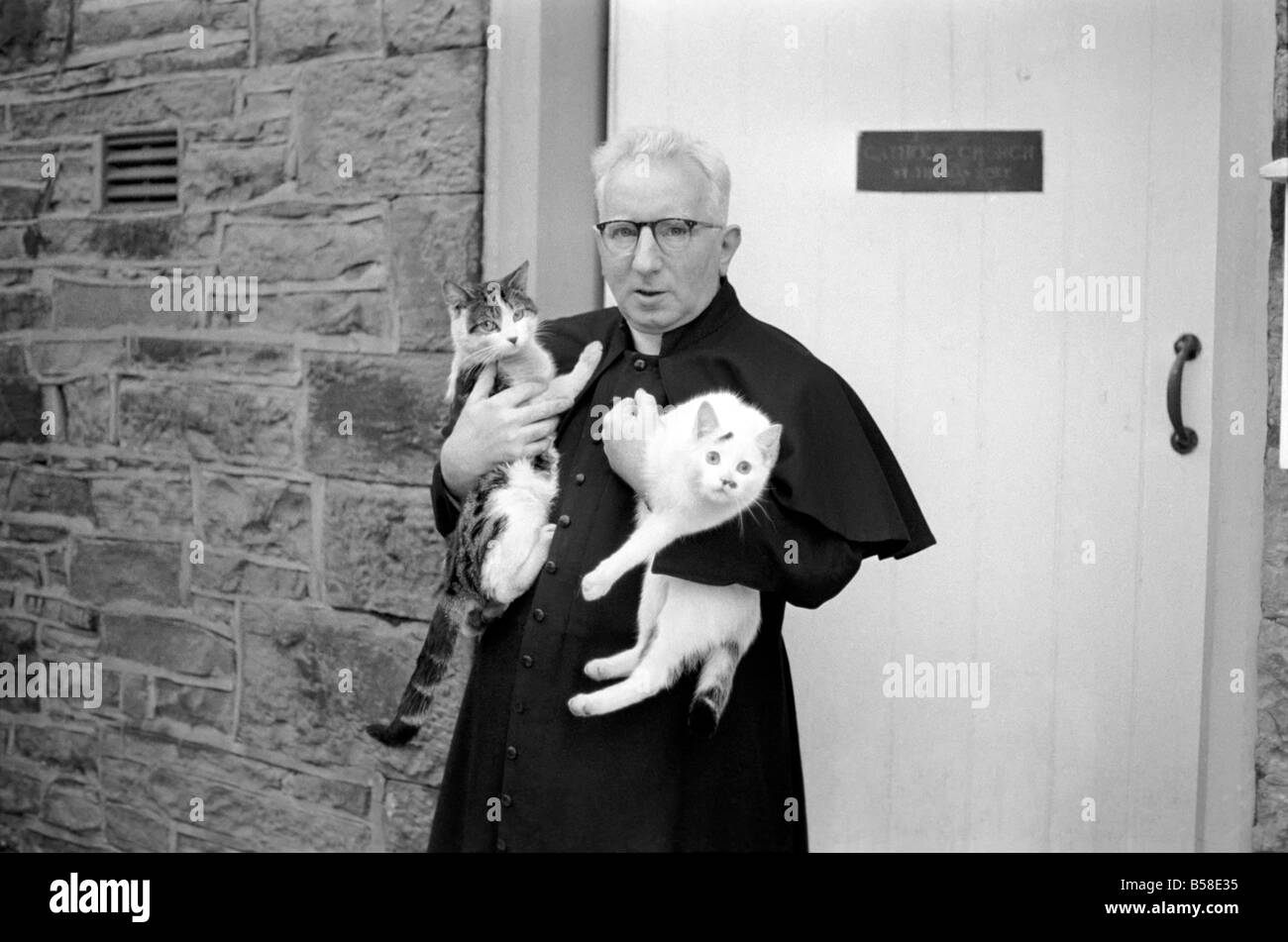 Le curé vu ici rassemblant ses petits chats.. Février 1970 70-1627-002 Banque D'Images