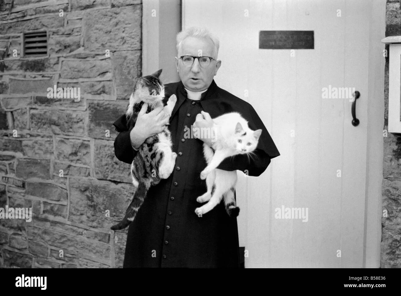 Le curé vu ici rassemblant ses petits chats.. Février 1970 70-1627-003 Banque D'Images