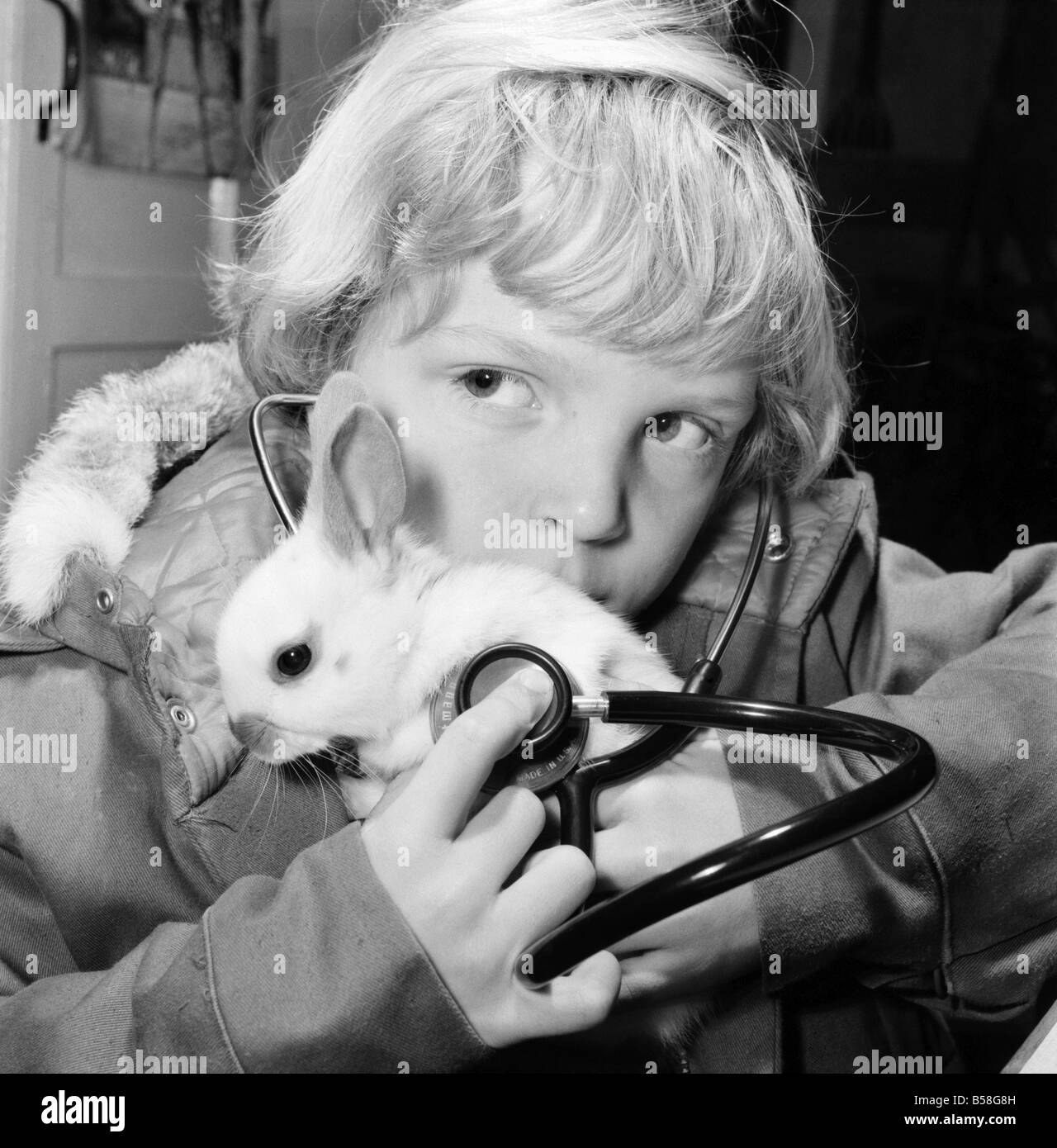 Animal : Lapin Mignon : : c'était un moment d'émerveillement, d'offres lorsqu'un enfant peut entendre le battement rythmique d'un petit coeur. Les quelques semaines vieux lapin blanc au Zoo ChildrensÍ, Crystal Palace, Londres, est l'un d'une portée née là, et qui seront bientôt en route vers de nouveaux foyers. Quand sept ans Jean Gankerseer, de Burgess Hill, Sussex payait le parc d'une visite avec sa famille, il a eu la chance d'utiliser le stéthoscope et écouter un peu de signes de vie peu animal. L'émerveillement d'un autre monde portée à ses oreilles. Décembre 1976 76-07571-006 Banque D'Images