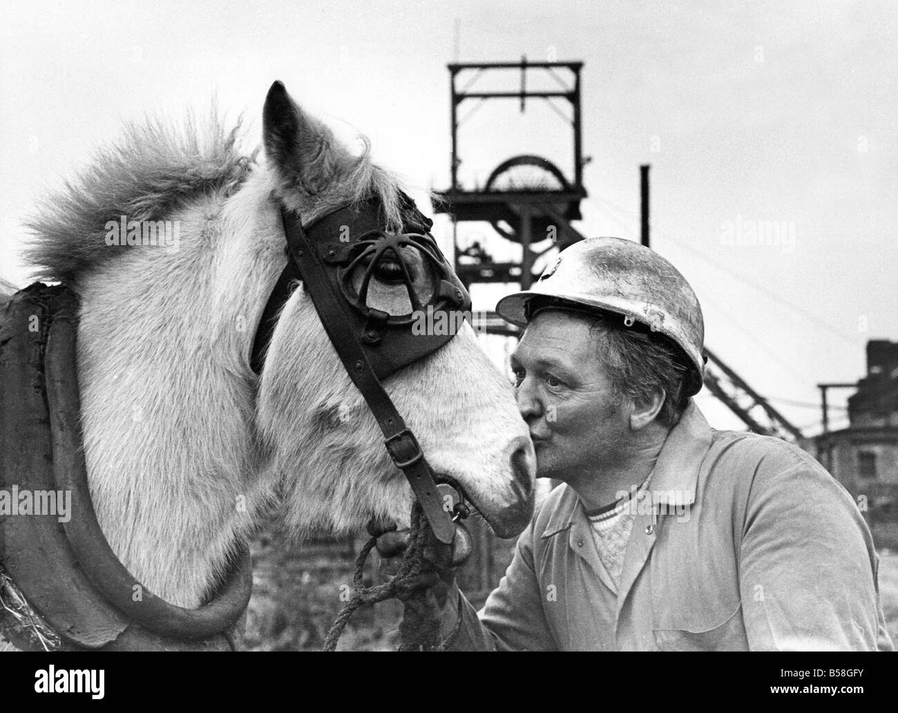 Un baiser d'adieu pour le PIP de horse keeper Alan Graham à Durham s Sacriston Colliery car ils cadencé off pour la dernière fois Banque D'Images